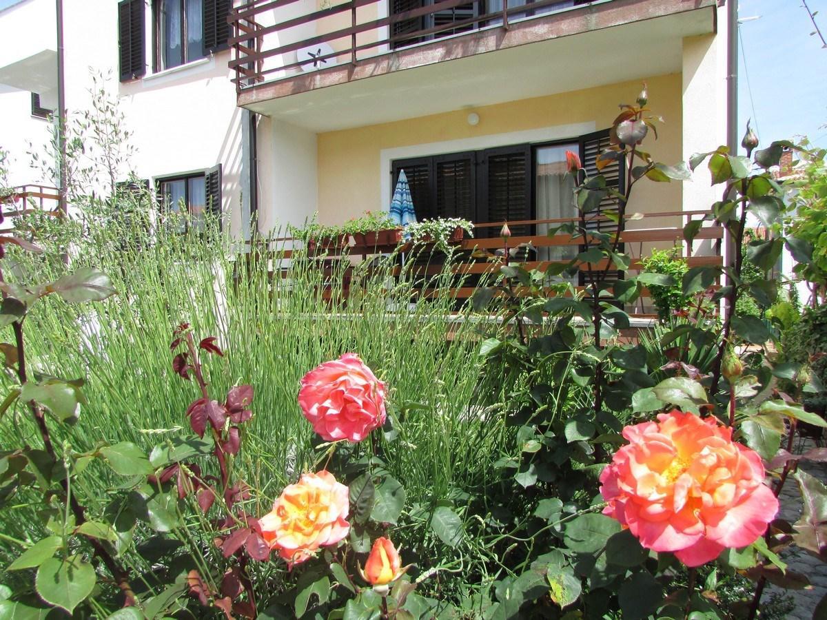 Mirela House With Apartment Умаг Екстер'єр фото