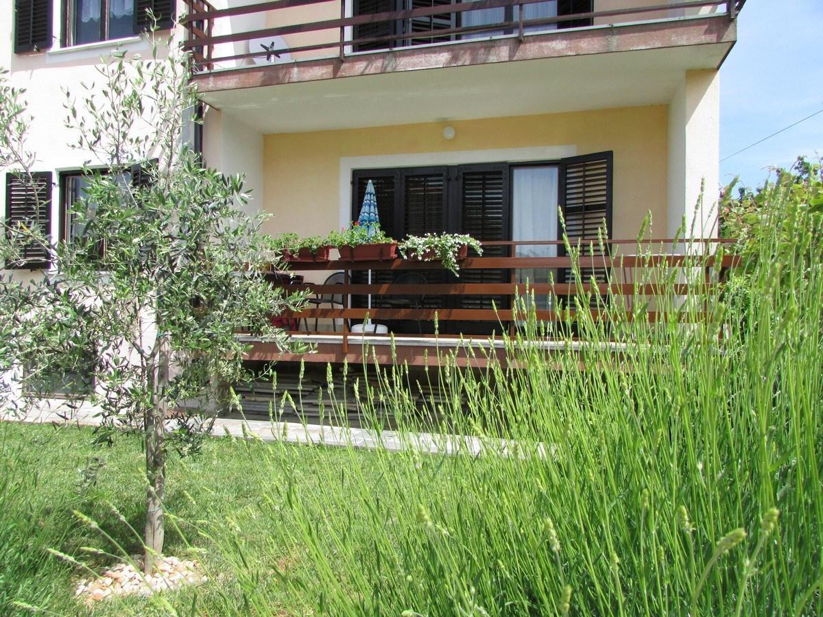 Mirela House With Apartment Умаг Екстер'єр фото
